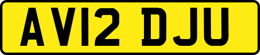 AV12DJU