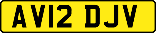 AV12DJV
