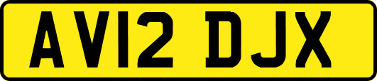 AV12DJX
