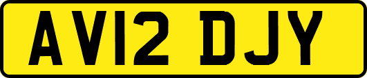 AV12DJY