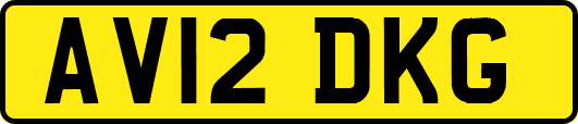 AV12DKG