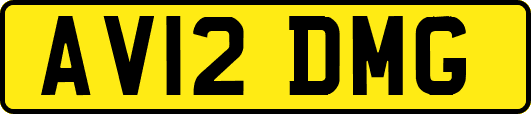 AV12DMG