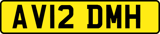 AV12DMH