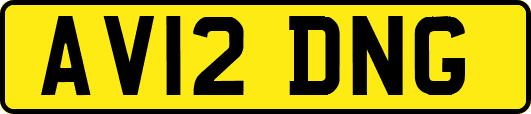 AV12DNG