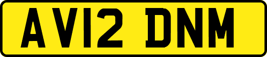 AV12DNM