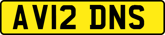 AV12DNS