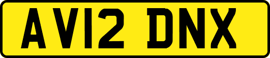 AV12DNX