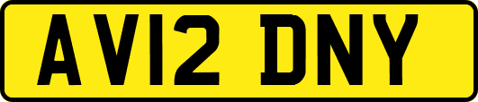 AV12DNY
