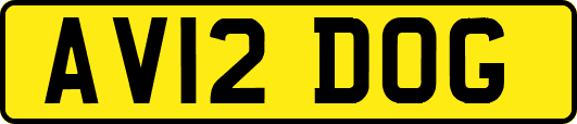 AV12DOG