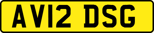 AV12DSG