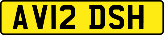 AV12DSH