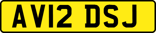 AV12DSJ