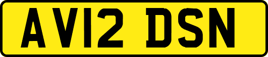 AV12DSN