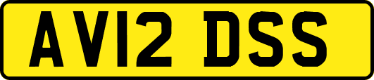 AV12DSS