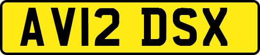 AV12DSX