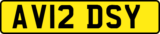 AV12DSY