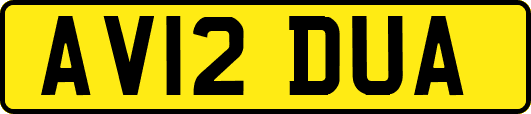 AV12DUA