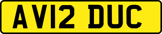 AV12DUC
