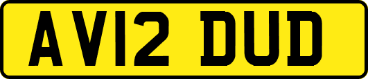 AV12DUD