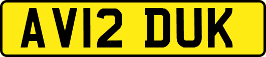 AV12DUK