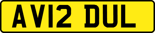 AV12DUL