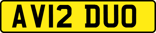 AV12DUO