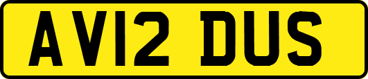 AV12DUS