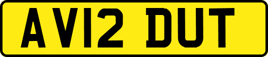 AV12DUT