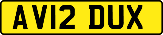 AV12DUX