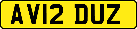 AV12DUZ