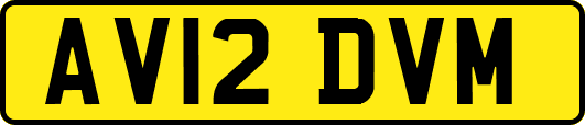 AV12DVM