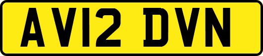 AV12DVN
