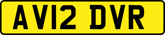 AV12DVR