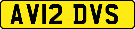 AV12DVS