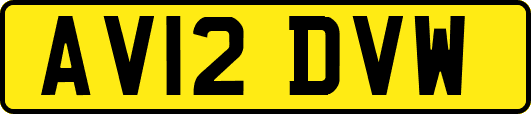 AV12DVW