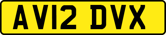 AV12DVX