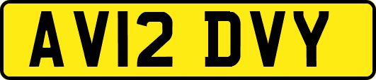 AV12DVY