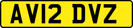 AV12DVZ