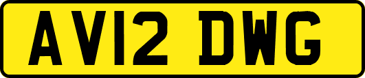 AV12DWG