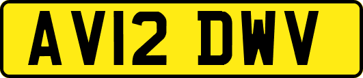 AV12DWV