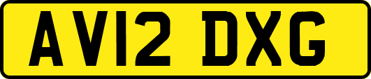 AV12DXG
