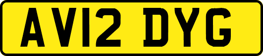 AV12DYG