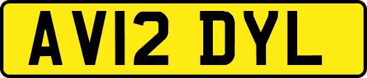 AV12DYL