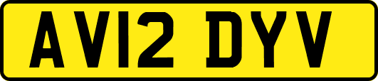 AV12DYV