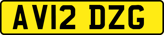 AV12DZG