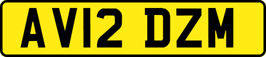 AV12DZM