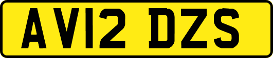 AV12DZS
