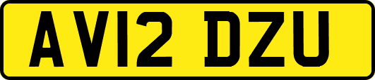 AV12DZU