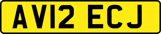 AV12ECJ