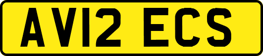 AV12ECS